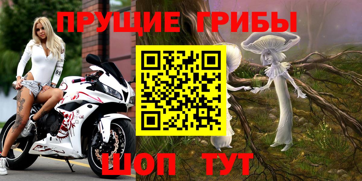 Кинель  Псилоцибиновые грибы мухоморы  Вход с VPN 